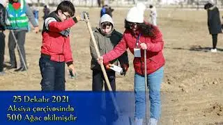 Şəhidlərin Xatirəsinə Ağacəkmə aksiyası - YAŞIL SAHİL 2021-2023