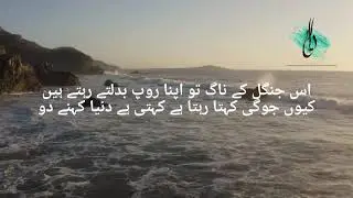 kehti hai duniya kehnay do #urdupoetry #trendingreels #reels #poetryinurdu