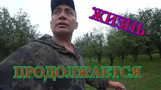 Я ВЕРНУЛСЯ ДОМОЙ/НАВОЖУ ПОРЯДКИ ПОРЯДОК/