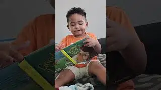 Toddler reading book 📖 #toddler #bookworm #toddlerfun #learningisfun #learningathome