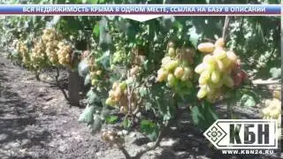 Продажа домов в ялте