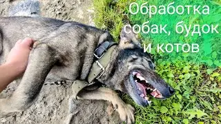Обработка собак, будок и Тяпая