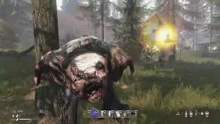 KILL OR DIE STALKER RP Не шумите дети в лесу рыжем