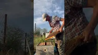 Для чего кормить слабую семью под осень!?🐝🐝🐝