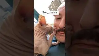А  я и не против 😹