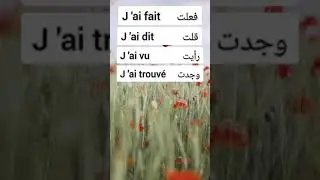 تعلم اللغة الفرنسية ببساطة و سهولة  #افضل #كروس #لتعليم #اللغة #الفرنسية #تعليم #تعلم &(3)