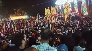 aana pooram , perugottukaraa #aana #aanapremi #hindu #kerala #pooram #india