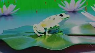 The Frog- a little Blender animation