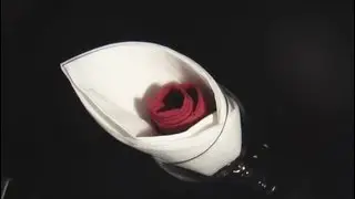 pliage serviette en papier décoration table arome