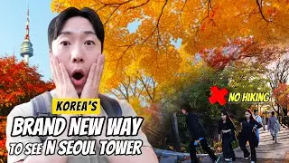 How to Reach N Seoul Tower WITHOUT Hiking (New Secret Trail Revealed!)