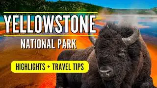 Discover the Secret of Yellowstone | The World’s Most Famous Park