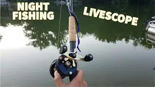 Night Fishing with LIVESCOPE to catch BIG FISH!