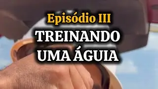 Treinando uma Águia Episódio III