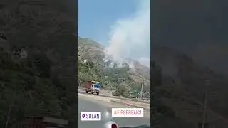solan to Shimla