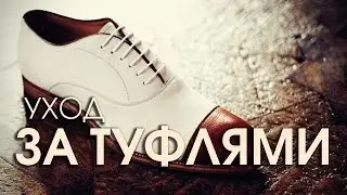 Уход за сумками и туфлями из кожи, замши и лака