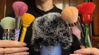 ASMR 🎤 Brushing the Mic with 6 Brushes! * Tapping * No Talking