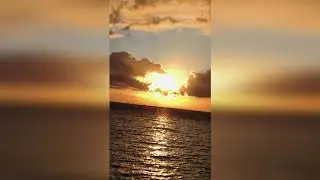 ⛅Summer(of)#Love🌈"2020"💘