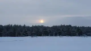 Ермиловская бухта. Окунь. Корюшка. Плотва.