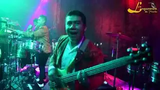 Los Laguneros de Tixtla   La Iguana