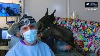 Live Surgery Dynamic Neuroprosthesis Clinique de Grosbois Paris