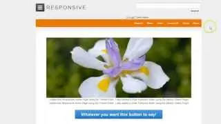 Responsive WordPress Theme Menu on Right and change Colors