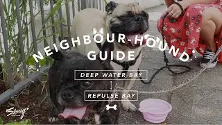 Sassy Hong Kong's Neighbour-Hound Guide: Deep Water Bay to Repulse Bay