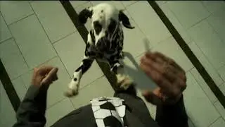 NET -  O Ano da Bola