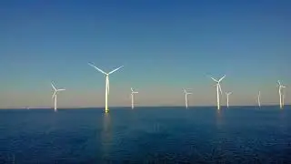 Steps to Start a Carbon Neutral Business: Reducing Your Environmental Footprint