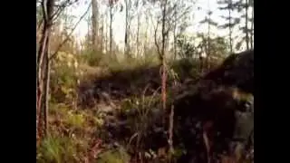 Три Дороги