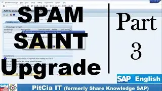 SAP S/4HANA SAINT, SPAM, Addon Upgrade Process Support Pack installation steps | PitCia IT