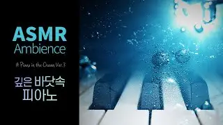 바다거북: 단디 잡으셔요, 출발합니다🌙깊은 바닷속 피아노 asmr /공부할 때, 자기전에 듣는 바닷속·물소리·수영 소리 asmr