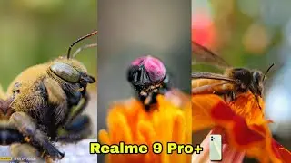 MICRO LENS PHOTOGRAPHY TUTORIAL | Micro Camera Test Realme 9 Pro Plus