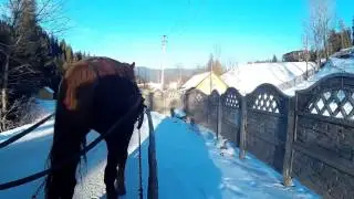 Верховина 23.12.2016 9