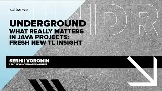 SERHII VORONIN What really matters in Java projects: FRESH NEW TL insight