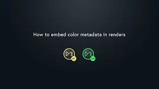 How to embed Color Metadata in renders in Mistika Boutique?