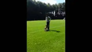 Kistje revieren