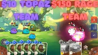 $10 Topaz Team vs $150 Rage Team | Axie Origin
