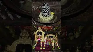 புதிய முகலாயக் கிரீடம் அணிவிப்பு #shorts