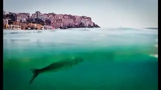 Sperlonga dal Cielo (e non solo)
