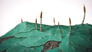 Early Autotroph - Spec Bio Log 3