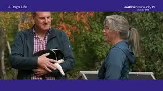 A Dog's Life - Saturdays at 9:30am on Eastlink Community TV