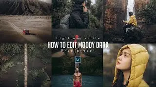 How to edit MOODY DARK like @wldvbs -Lightroom mobile tutorial free preset