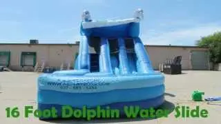 16 Foot Inflatable Dolphin Water Slide | Wet or Dry Slide| Cincinnati Dayton Rental
