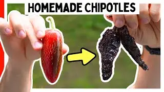 How To Make Chipotle Peppers 🌶️