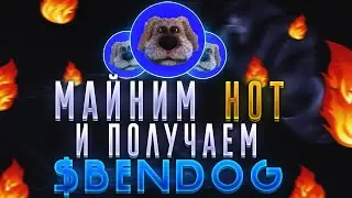 HOT NEAR WALLET - Как Гарантированно Получить BENDOG Дроп Без Особых Проблем