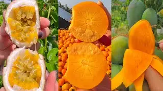 Farm Fresh Ninja Fruit | Tik Tok India | (Oddly Satisfying Fruit Ninja