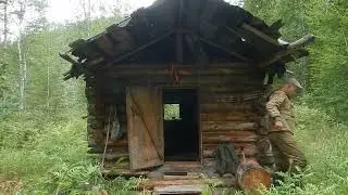 Видеозарисовки - Лето 2024 .