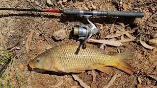 CaRp FiShInG iN rEeDy CrEek