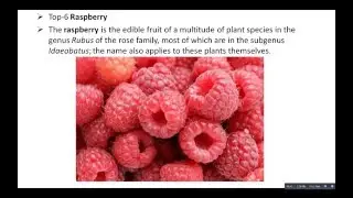 Top 10 Most Delicious Fruits