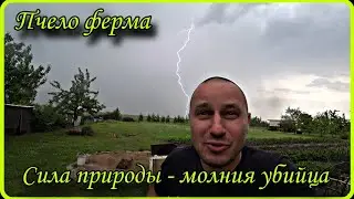 Пчело ферма. Молнии убийцы.